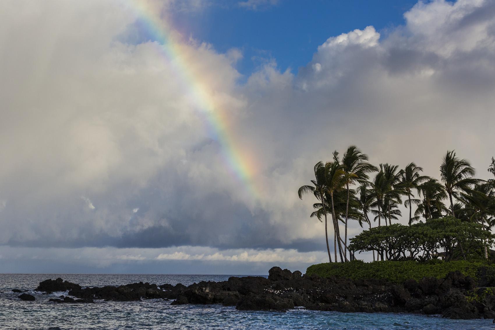  Hawaii Island Travel Agents Find Vacation Packages 